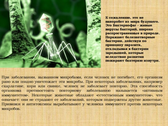 К сожалению, это не наноробот из мира будущего. Это Бактериофаг - живые вирусы бактерий, широко распространенные в природе. Поражают болезнетворные бактерии, действуя по принципу паразита, откладывая в бактерии зародышей, которые вследствие развития пожирают бактерию изнутри.  При заболевании, вызванном микробами, если человек не погибает, его организм рано или поздно уничтожает эти микробы. При некоторых заболеваниях, например скарлатине, кори или свинке, человек не заболевает повторно. Эта способность организма противостоять повторному заболеванию называется «активным иммунитетом». Некоторые животные обладают «естественным иммунитетом», что означает: они не страдают от заболеваний, которым подвержены другие животные. Прививки и антитоксины вырабатывают у человека иммунитет против некоторых микробов.