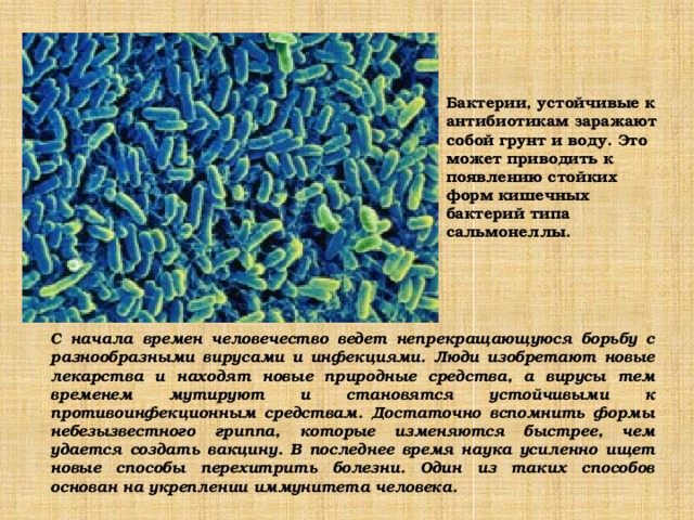 Бактерии, устойчивые к антибиотикам заражают собой грунт и воду. Это может приводить к появлению стойких форм кишечных бактерий типа сальмонеллы.  С начала времен человечество ведет непрекращающуюся борьбу с разнообразными вирусами и инфекциями. Люди изобретают новые лекарства и находят новые природные средства, а вирусы тем временем мутируют и становятся устойчивыми к противоинфекционным средствам. Достаточно вспомнить формы небезызвестного гриппа, которые изменяются быстрее, чем удается создать вакцину. В последнее время наука усиленно ищет новые способы перехитрить болезни. Один из таких способов основан на укреплении иммунитета человека.