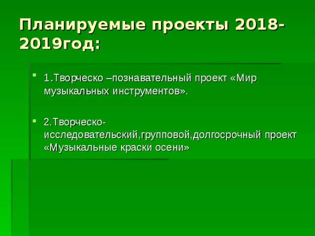 Планируемые проекты 2018-2019год: