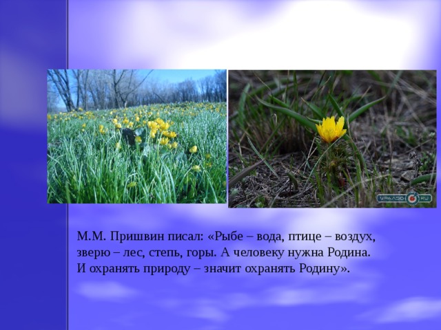 М.М. Пришвин писал: «Рыбе – вода, птице – воздух, зверю – лес, степь, горы. А человеку нужна Родина. И охранять природу – значит охранять Родину».