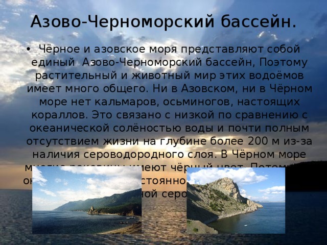Азово-Черноморский бассейн.