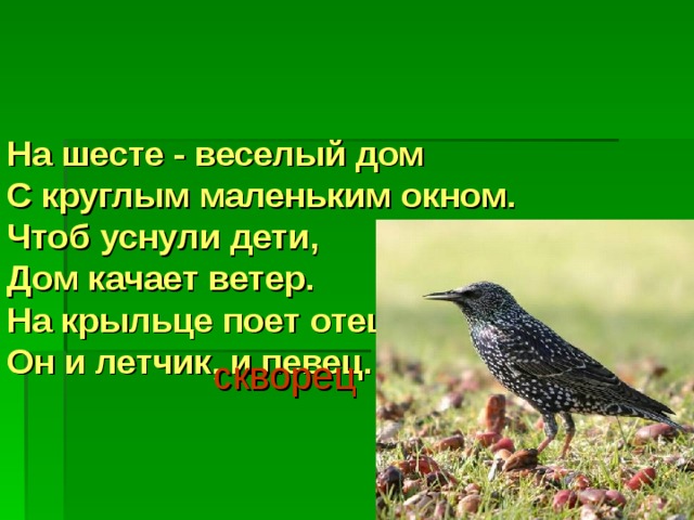 На шесте - веселый дом  С круглым маленьким окном.  Чтоб уснули дети,  Дом качает ветер.  На крыльце поет отец -  Он и летчик, и певец.     скворец