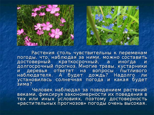 Растения столь чувствительны к переменам погоды, что, наблюдая за ними, можно составить достоверный краткосрочный, а иногда и долгосрочный прогноз. Многие травы, кустарники и деревья ответят на вопросы пытливого наблюдателя. А будет дождь? Надолго ли установилась солнечная погода и какая будет зима?  Человек наблюдал за поведением растений веками, фиксируя закономерности их поведения в тех или иных условиях, поэтому достоверность «растительных прогнозов» погоды очень высокая.