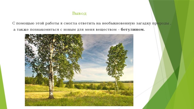 Вывод   С помощью этой работы я смогла ответить на необыкновенную загадку природы ,  а также познакомиться с новым для меня веществом – бетулином.