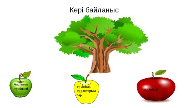 Кері байланыс барлығы түсінікті түсінікті, сұрақтарым бар түсініксіз