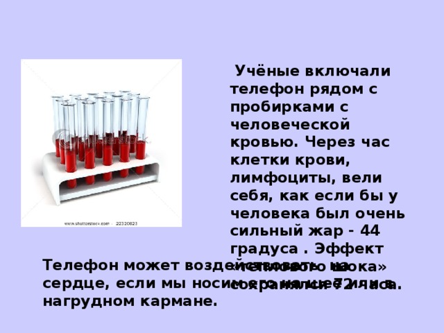 Учёные включали телефон рядом с пробирками с человеческой кровью. Через час клетки крови, лимфоциты, вели себя, как если бы у человека был очень сильный жар - 44 градуса . Эффект «теплового шока» сохранялся 72 часа. Телефон может воздействовать на сердце, если мы носим его на шее или в нагрудном кармане.