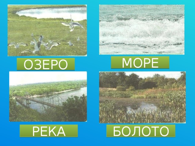 МОРЕ ОЗЕРО РЕКА БОЛОТО