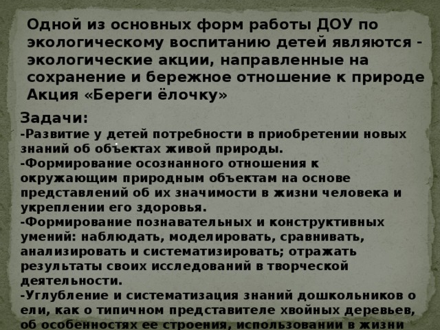 Одной из основных форм работы ДОУ по экологическому воспитанию детей являются - экологические акции, направленные на сохранение и бережное отношение к природе Акция «Береги ёлочку»  Задачи: -Развитие у детей потребности в приобретении новых знаний об объектах живой природы. -Формирование осознанного отношения к окружающим природным объектам на основе представлений об их значимости в жизни человека и укреплении его здоровья. -Формирование познавательных и конструктивных умений: наблюдать, моделировать, сравнивать, анализировать и систематизировать; отражать результаты своих исследований в творческой деятельности. -Углубление и систематизация знаний дошкольников о ели, как о типичном представителе хвойных деревьев, об особенностях ее строения, использовании в жизни человека, в том числе для укрепления здоровья человека.  .