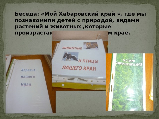 Беседа: «Мой Хабаровский край », где мы познакомили детей с природой, видами растений и животных ,которые произрастают и живут в нашем крае.