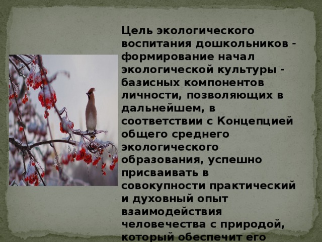 Цель экологического воспитания дошкольников - формирование начал экологической культуры - базисных компонентов личности, позволяющих в дальнейшем, в соответствии с Концепцией общего среднего экологического образования, успешно присваивать в совокупности практический и духовный опыт взаимодействия человечества с природой, который обеспечит его выживание и развитие. 