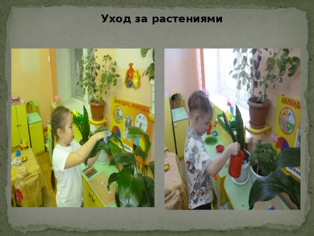 Уход за растениями