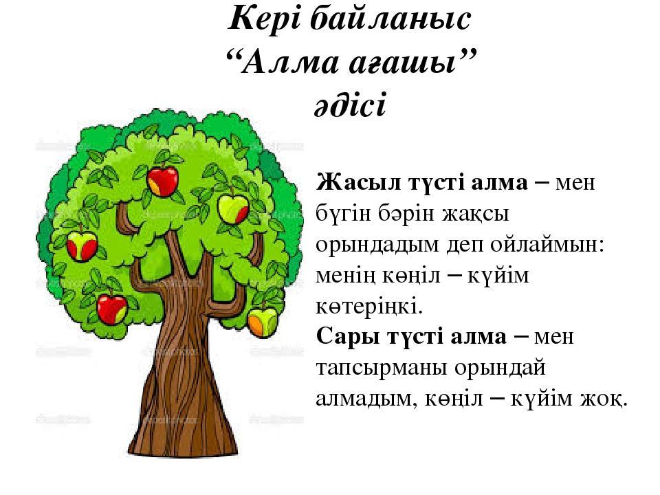 Кері байланыс түрлері. Рефлексия. Ағаш рефлексия. Рефлексия суреті. Рефлексия смс әдісі.