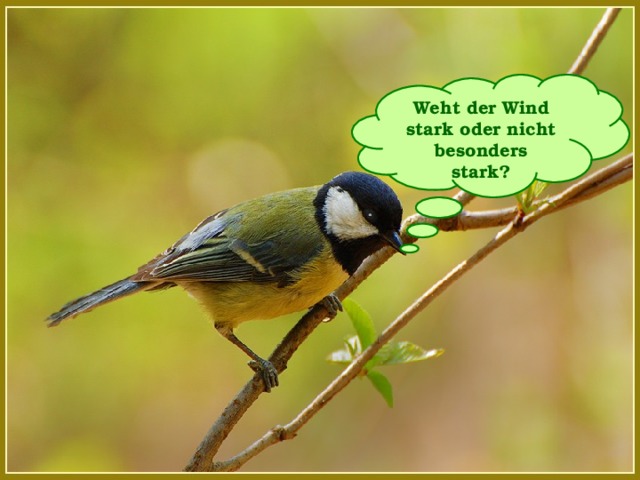 Weht der Wind stark oder nicht besonders stark?