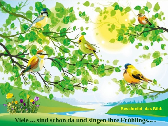 Beschreibt das Bild: Viele ... sind schon da und singen ihre Frühlings... .