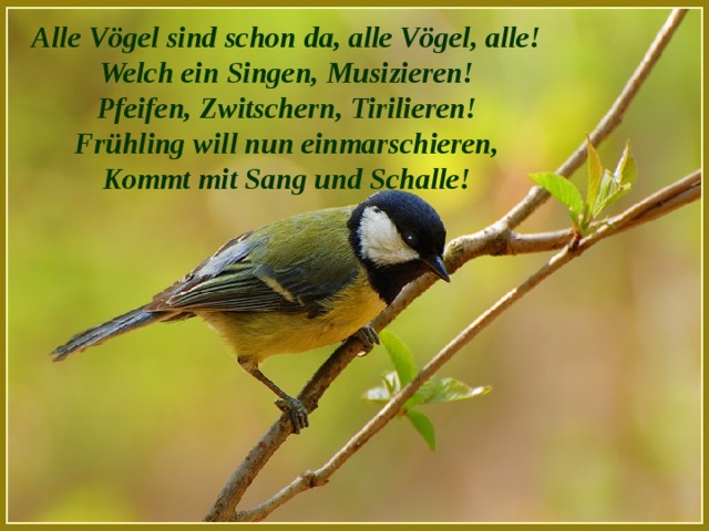 Alle Vögel sind schon da, alle Vögel, alle! Welch ein Singen, Musizieren! Pfeifen, Zwitschern, Tirilieren! Frühling will nun einmarschieren, Kommt mit Sang und Schalle!