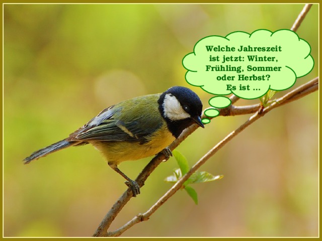 Welche Jahreszeit ist jetzt: Winter, Frühling, Sommer oder Herbst? Es ist ...