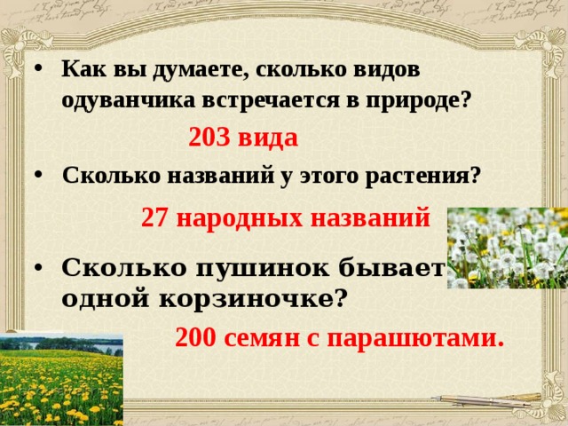 Как вы думаете, сколько видов одуванчика встречается в природе? 203 вида Сколько названий у этого растения? 27 народных названий Сколько пушинок бывает в одной корзиночке?