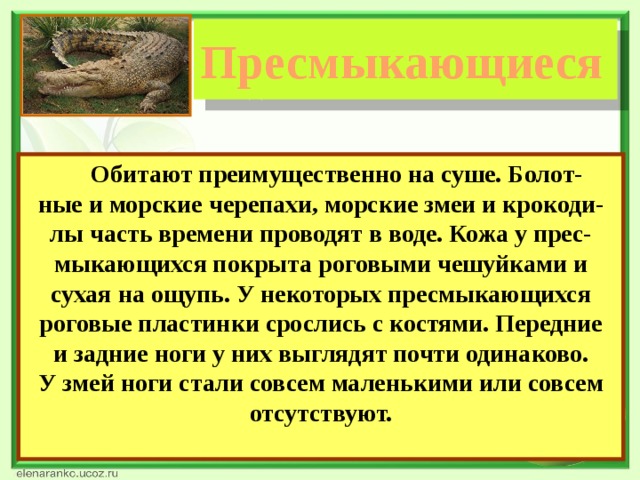 Где обитают пресмыкающиеся. Какие бывают пресмыкающиеся. Обитающие на болотах пресмыкающиеся. Пресмыкающиеся доклад.