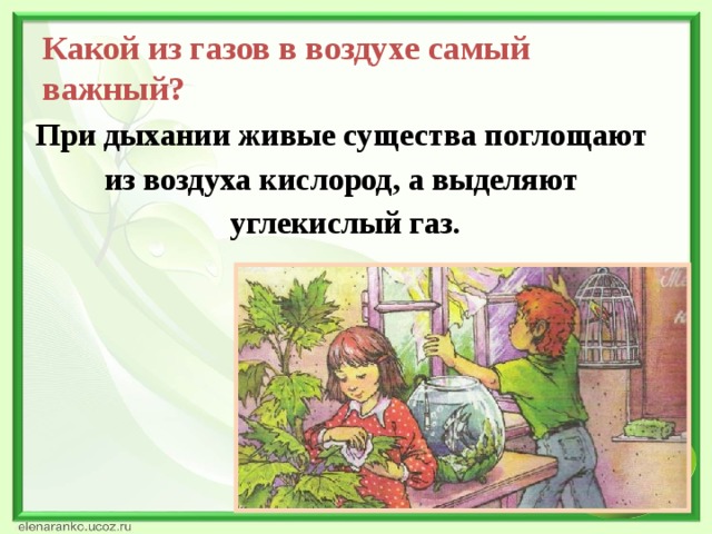 Какой из газов в воздухе самый важный? При дыхании живые существа поглощают из воздуха кислород, а выделяют углекислый газ.