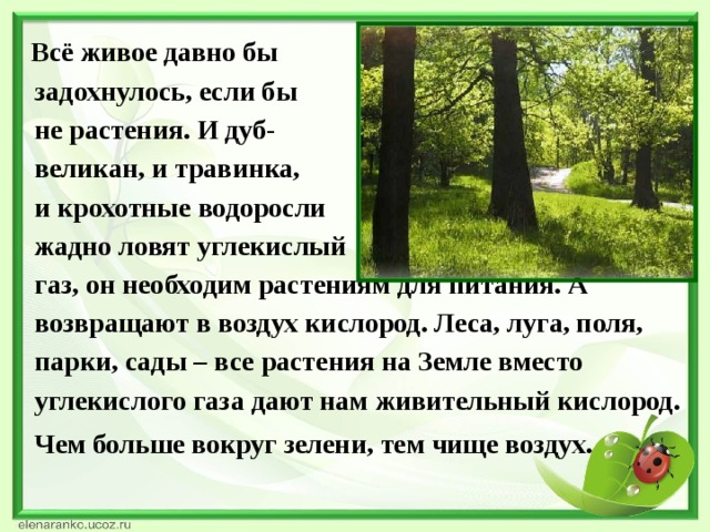 Всё живое давно бы  задохнулось, если бы  не растения. И дуб-  великан, и травинка,  и крохотные водоросли  жадно ловят углекислый  газ, он необходим растениям для питания. А  возвращают в воздух кислород. Леса, луга, поля,  парки, сады – все растения на Земле вместо  углекислого газа дают нам живительный кислород.  Чем больше вокруг зелени, тем чище воздух .