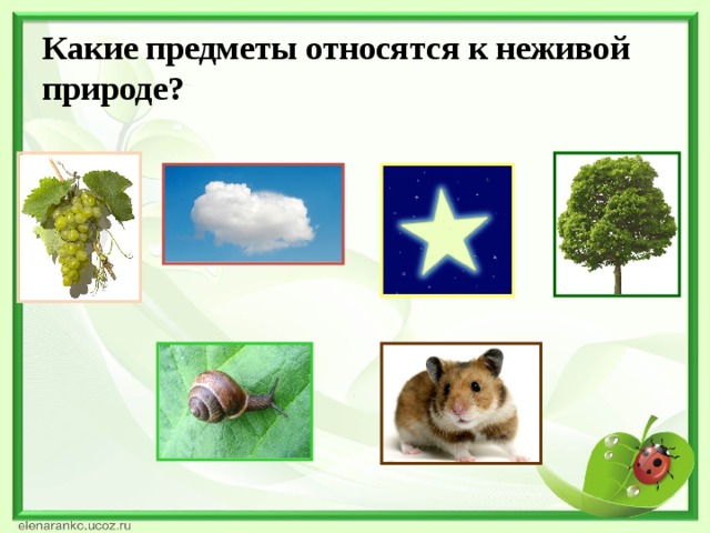 Какие объекты относятся к природе. Что относится к неживой природе. Объекты неживой природы в Японии. Объекты нежививой природы Японии. Предметы относящиеся к природе.