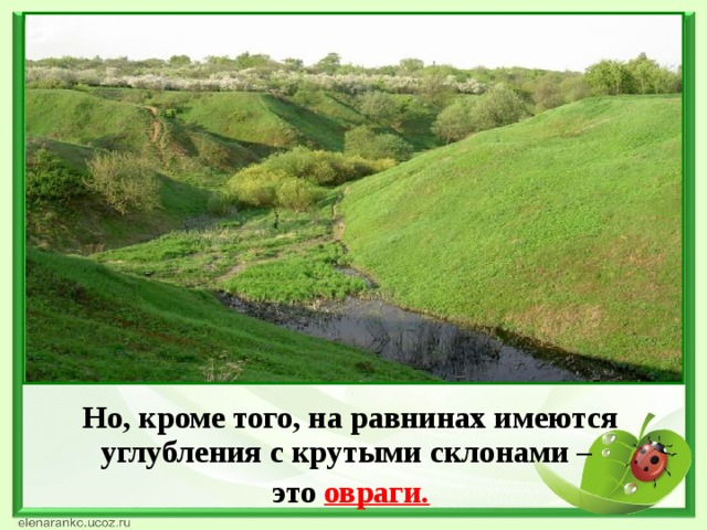 Но, кроме того, на равнинах имеются углубления с крутыми склонами –  это овраги.