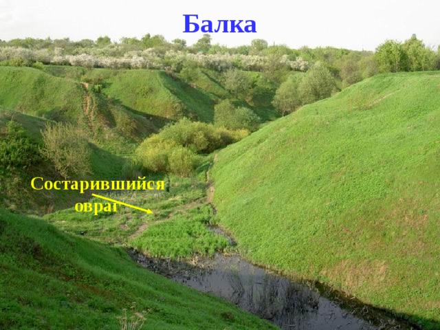 Балка Состарившийся овраг