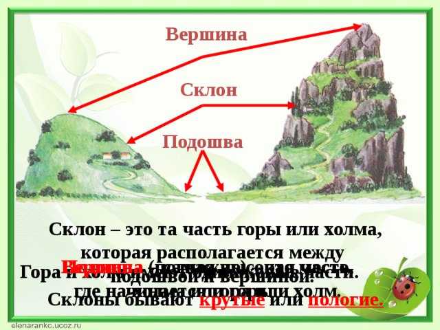 Вершина Склон Подошва Склон – это та часть горы или холма, которая располагается между подошвой и вершиной. Склоны бывают крутые или пологие. Вершина – самая высокая часть Подошва (подножие) – это место, холма или горы. где начинается гора или холм. Гора и холм имеют одинаковые части.