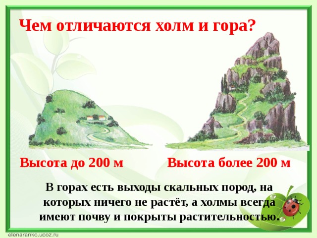 Чем отличаются холм и гора? Высота до 200 м Высота более 200 м  В горах есть выходы скальных пород, на которых ничего не растёт, а холмы всегда имеют почву и покрыты растительностью.