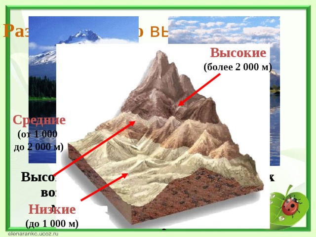 Различие гор по высоте. Высокие (более 2 000 м) Средние (от 1 000 до 2 000 м)  Высота гор бывает разной. Одни из них возвышаются на несколько сотен метров, другие – на несколько километров. Низкие (до 1 000 м)