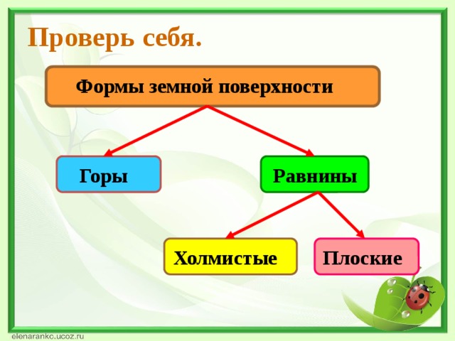 Проверь себя. Формы земной поверхности Горы Равнины Холмистые Плоские