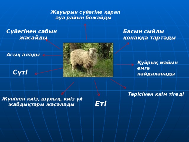 Жауырын сүйегіне қарап  ауа райын божайды Басын сыйлы қонаққа тартады Сүйегінен сабын  жасайды  Асық алады    Сүті Құйрық майын емге пайдаланады  Терісінен киім тігеді Жүнінен киіз, шұлық, киіз үй  жабдықтары жасалады  Еті