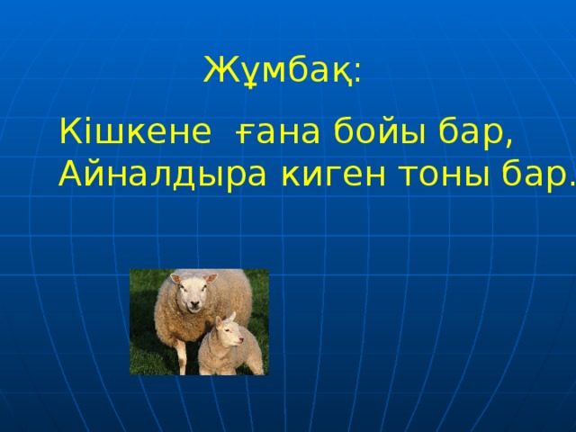 Жұмбақ: Кішкене ғана бойы бар, Айналдыра киген тоны бар.