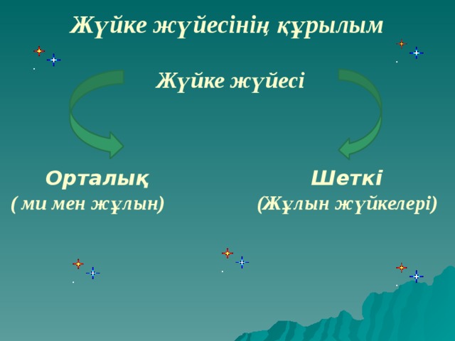 Жүйке жүйесінің құрылым  Жүйке жүйесі  Орталық Шеткі ( ми мен жұлын) (Жұлын жүйкелері)