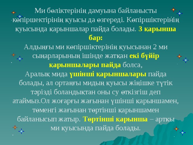 Ми бөліктерінің дамуына байланысты көпіршектірінің қуысы да өзгереді. Көпіршіктерінің қуысында қарыншалар пайда болады. 3 қарынша бар: Алдыңғы ми көпіршіктерінің қуысынан 2 ми сыңарларының ішінде жатқан екі бүйір қарыншалары пайда болса, Аралық мида үшінші қарыншалары пайда болады, ал ортаңғы мидың қуысы жіңішке түтік тәрізді боландықтан оны су өткізгіш деп атаймыз.Ол жоғарғы жағынан үшінші қарыншамен, төменгі жағынан төртінші қарыншамен байланысып жатыр. Төртінші қарынша – артқы ми қуысында пайда болады.