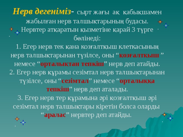 Нерв дегеніміз - сырт жағы ақ қабықшамен жабылған нерв талшықтарының будасы. Нервтер атқаратын қызметіне қарай 3 түрге бөлінеді: 1. Егер нерв тек қана козғалтқыш клеткасының нерв талшықтарынан түзілсе, оны “ қозғалтқыш ” немесе “ орталықтан тепкіш ” нерв деп атайды. 2. Егер нерв құрамы сезімтал нерв талшықтарынан түзілсе, оны “ сезімтал ” немесе “ орталыққа тепкіш ” нерв деп аталады. 3. Егер нерв тер құрамына әрі қозғалтқыш әрі сезімтал нерв талшықтары кіретін болса оларды “ аралас ” нервтер деп атайды.