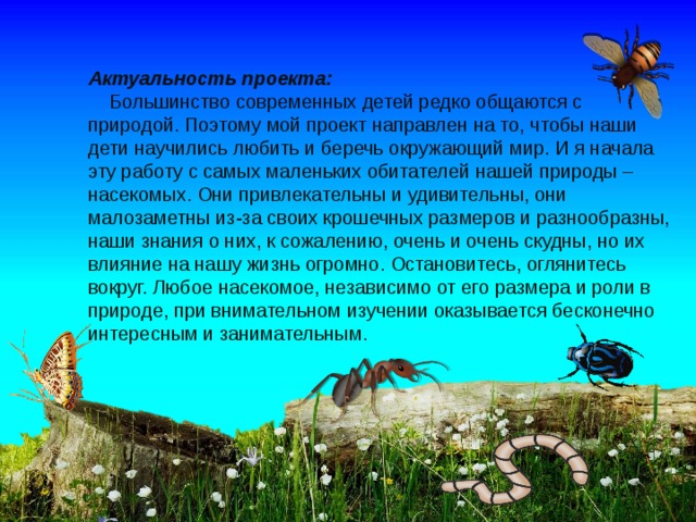 Актуальность проекта:  Большинство современных детей редко общаются с природой. Поэтому мой проект направлен на то, чтобы наши дети научились любить и беречь окружающий мир. И я начала эту работу с самых маленьких обитателей нашей природы – насекомых. Они привлекательны и удивительны, они малозаметны из-за своих крошечных размеров и разнообразны, наши знания о них, к сожалению, очень и очень скудны, но их влияние на нашу жизнь огромно. Остановитесь, оглянитесь вокруг. Любое насекомое, независимо от его размера и роли в природе, при внимательном изучении оказывается бесконечно интересным и занимательным.