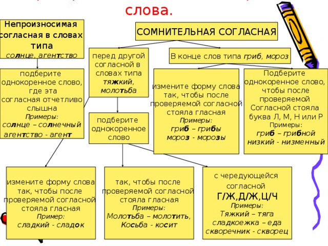 Проверяемая согласная в корне слова. Непроизносимая согласная в словах  типа со л нце, аген т ство СОМНИТЕЛЬНАЯ СОГЛАСНАЯ В конце слов типа гриб,  мороз перед другой согласной в словах типа тя ж кий, моло т ьба Подберите однокоренное слово, чтобы после проверяемой Согласной стояла буква Л, М, Н или Р Примеры: гри б – гри б ной низкий - низменный  измените форму слова так, чтобы после проверяемой согласной стояла гласная Примеры: гри б – гри б ы моро з - моро з ы подберите однокоренное слово,  где эта согласная отчетливо слышна Примеры: со л нце – со л нечный аген т ство - аген т   подберите однокоренное слово с чередующейся согласной  Г/Ж,Д/Ж,Ц/Ч Примеры: Тяжкий – тяга  сладкоежка – еда скворечник - скворец измените форму слова так, чтобы после проверяемой согласной стояла гласная Пример: сладкий - слад о к так, чтобы после проверяемой согласной стояла гласная Примеры: Моло т ьба – моло т ить, Ко с ьба - ко с ит