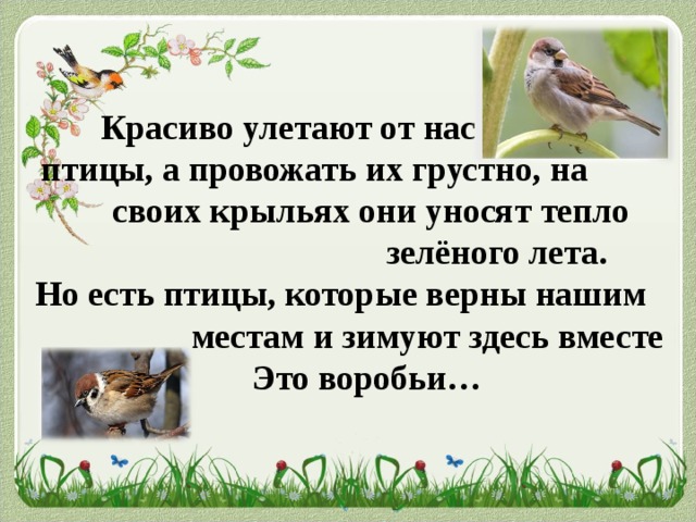 Красиво улетают от нас  птицы, а провожать их грустно, на  своих крыльях они уносят тепло        зелёного лета.  Но есть птицы, которые верны нашим   местам и зимуют здесь вместе с нами.   Это воробьи…