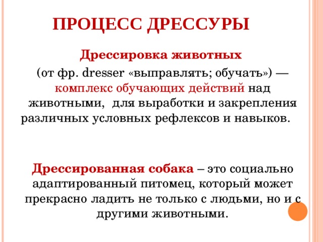 Процесс дрессуры Дрессировка животных (от фр. dresser «выправлять; обучать») — комплекс обучающих действий над животными, для выработки и закрепления различных условных рефлексов и навыков. Дрессированная собака – это социально адаптированный питомец, который может прекрасно ладить не только с людьми, но и с другими животными.