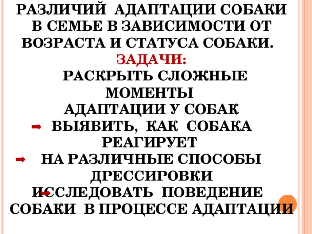 Цель работы:  выявление сходств и различий адаптации собаки в семье в зависимости от возраста и статуса собаки.  Задачи:   раскрыть сложные моменты  адаптации у собак  выявить,  как  собака  реагирует  на различные способы дрессировки  исследовать  поведение   собаки  в процессе адаптации