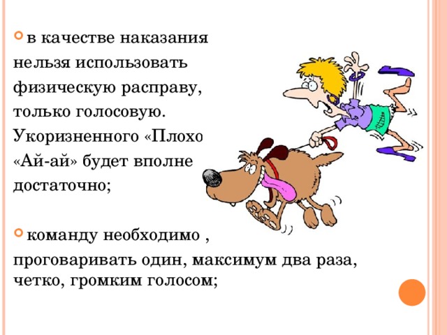 в качестве наказания нельзя использовать физическую расправу, только голосовую. Укоризненного «Плохо», «Ай-ай» будет вполне достаточно; команду необходимо ,