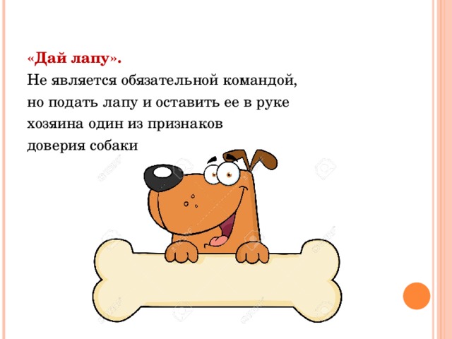 «Дай лапу». Не является обязательной командой, но подать лапу и оставить ее в руке хозяина один из признаков доверия собаки