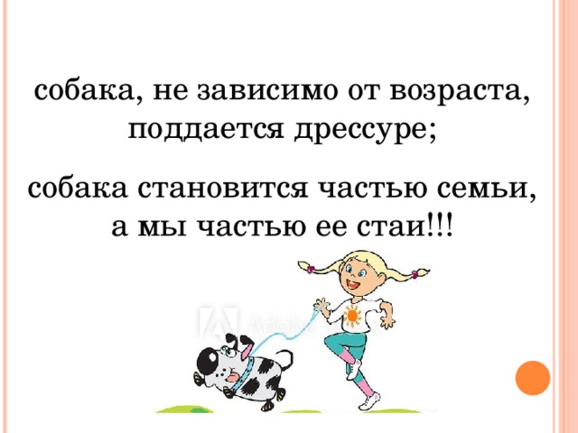 собака, не зависимо от возраста, поддается дрессуре; собака становится частью семьи, а мы частью ее стаи!!!