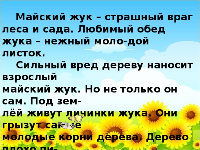 Майский жук – страшный враг леса и сада. Любимый обед жука – нежный моло-дой листок.  Сильный вред дереву наносит взрослый майский жук. Но не только он сам. Под зем- лёй живут личинки жука. Они грызут самые молодые корни дерева. Дерево плохо пи- тается и быстро засыхает.