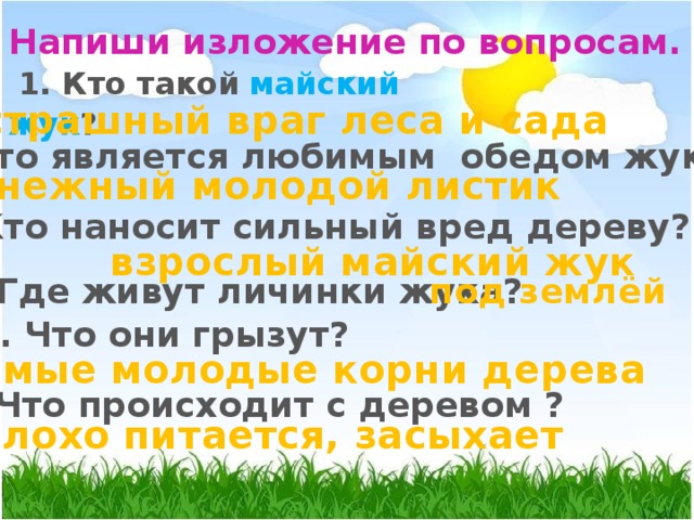 Напиши изложение по вопросам. 1. Кто такой  майский жук ?  страшный враг леса и сада  2. Что является любимым обедом жука? нежный молодой листик 3. Кто наносит сильный вред дереву?  взрослый майский жук 4. Где живут личинки жука?  под землёй 5. Что они грызут? самые молодые корни дерева 6. Что происходит с деревом ? плохо питается, засыхает