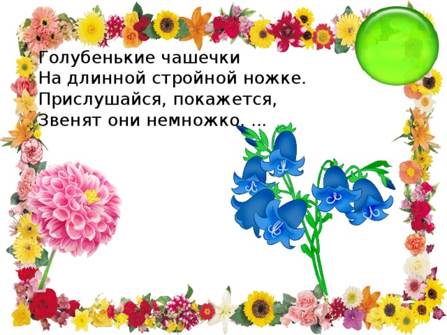 Голубенькие чашечки На длинной стройной ножке. Прислушайся, покажется, Звенят они немножко. ... 