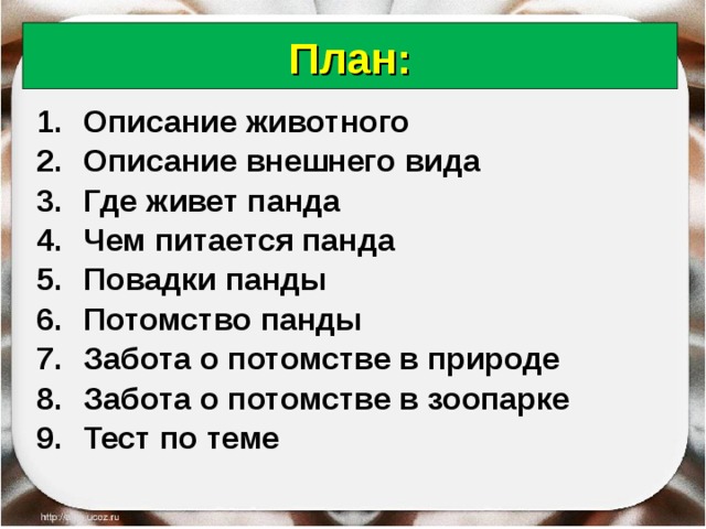 План: Описание животного Описание внешнего вида Где живет панда Чем питается панда Повадки панды Потомство панды Забота о потомстве в природе Забота о потомстве в зоопарке Тест по теме    18.06.18 Антоненкова Анжелика Викторовна