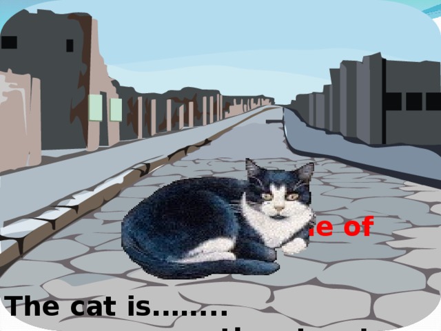in the middle of The cat is.…....……………………the stree t .