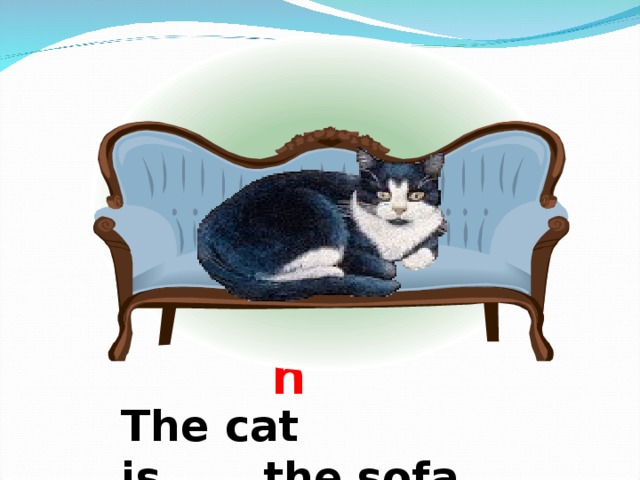 on The cat is…….the sofa